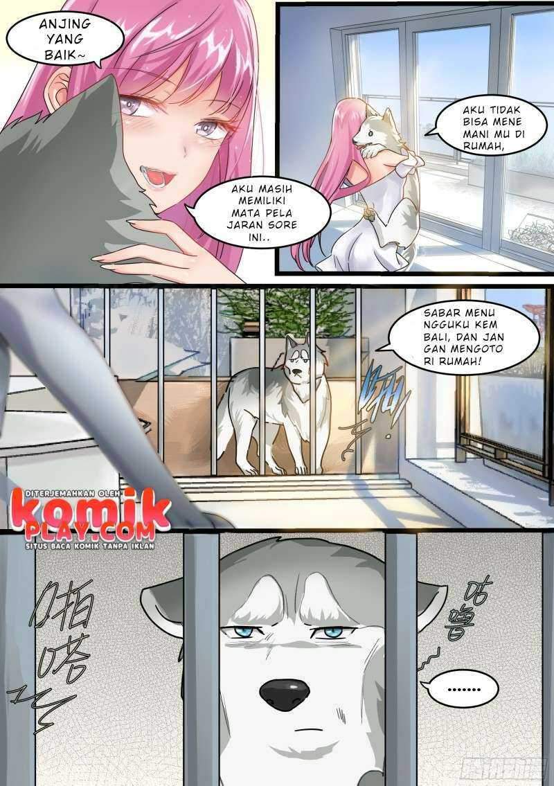 live stream: The Husky of the Goddess Chapter 1 Gambar 8