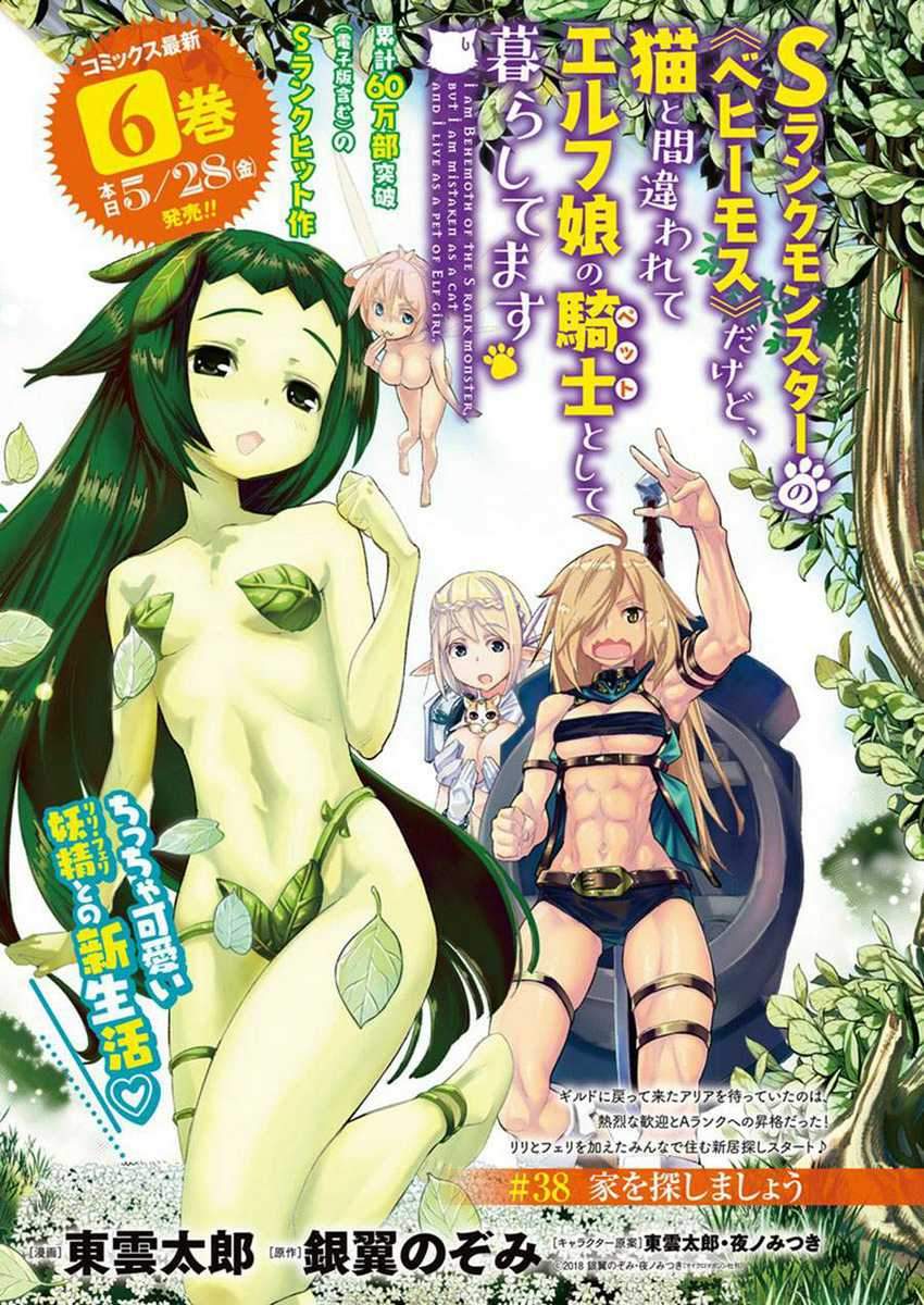 Baca Manga S-Rank Monster no Behemoth Dakedo, Neko to Machigawarete Erufu Musume no Kishi (Pet) Toshite Kurashitemasu Chapter 38 Gambar 2