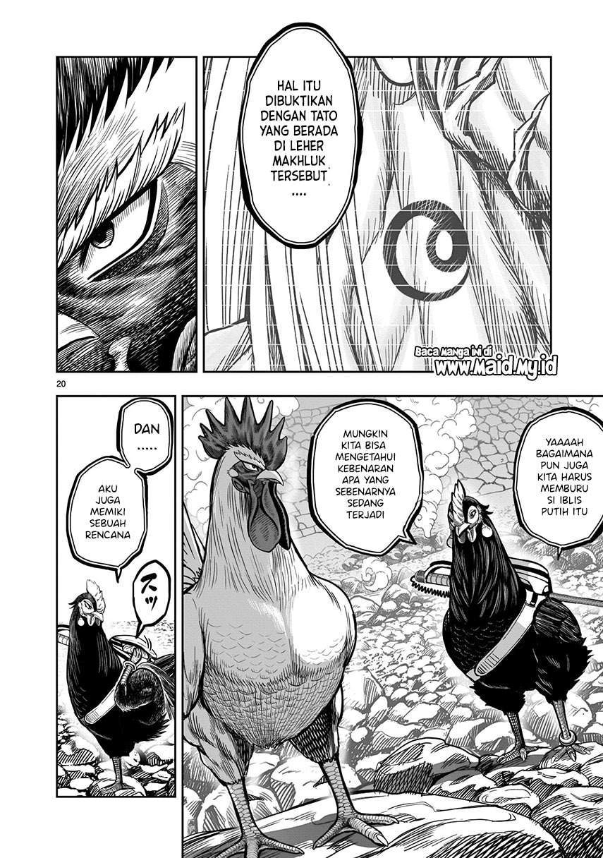 Rooster Fighter Chapter 8 Gambar 22