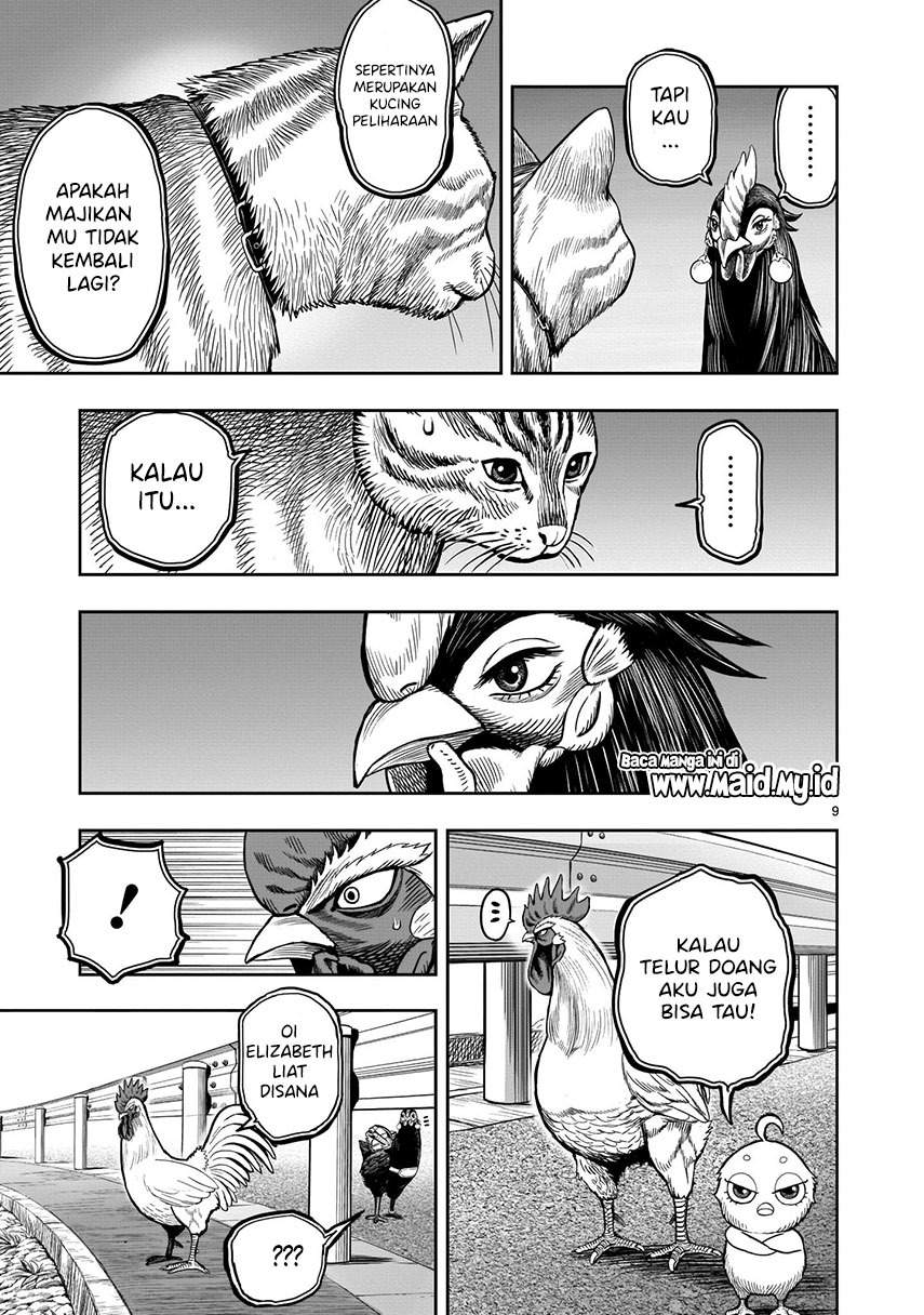 Rooster Fighter Chapter 9 Gambar 11