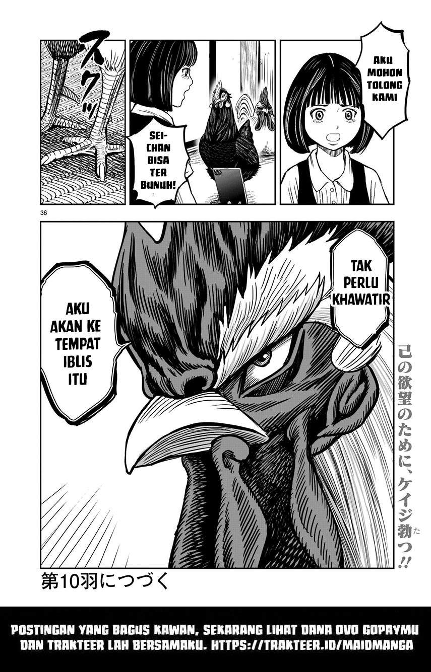 Rooster Fighter Chapter 9 Gambar 37