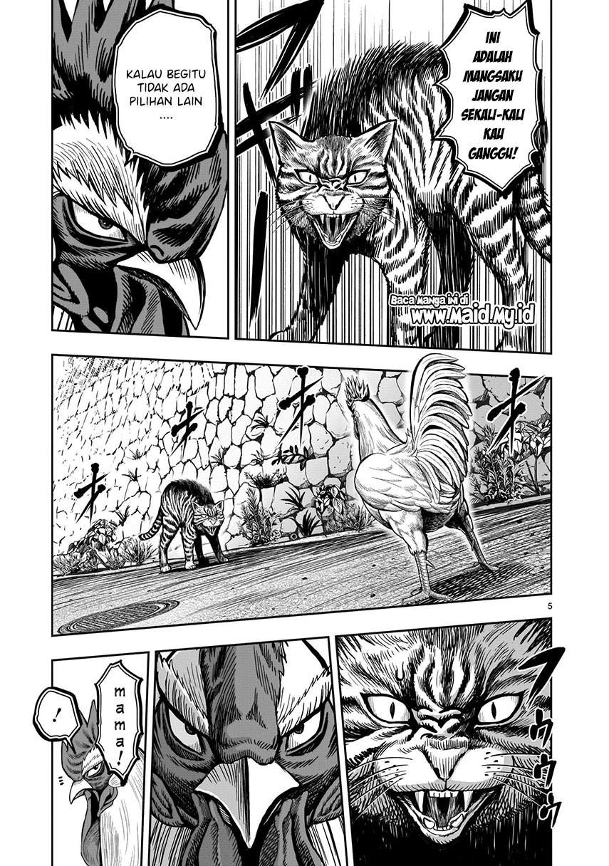 Rooster Fighter Chapter 9 Gambar 7