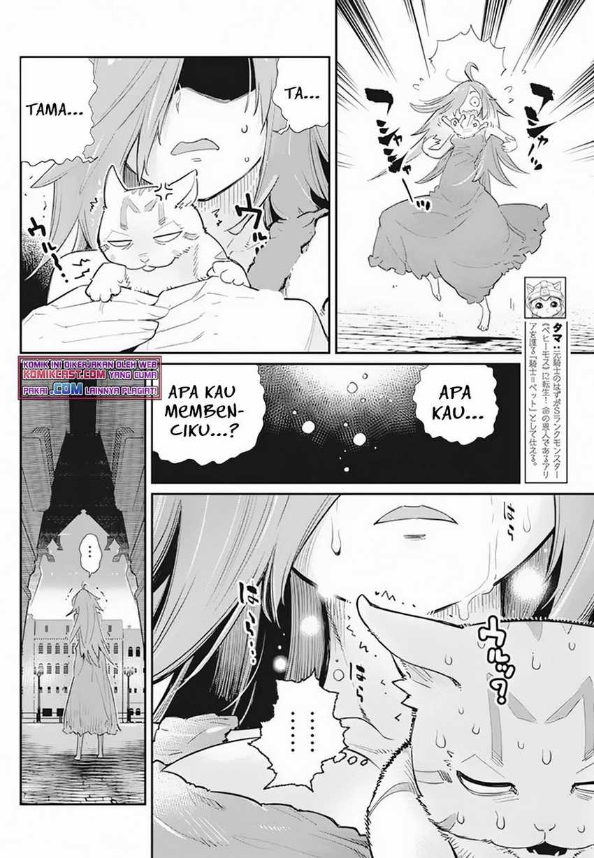 S-Rank Monster no Behemoth Dakedo, Neko to Machigawarete Erufu Musume no Kishi (Pet) Toshite Kurashitemasu Chapter 39 Gambar 3