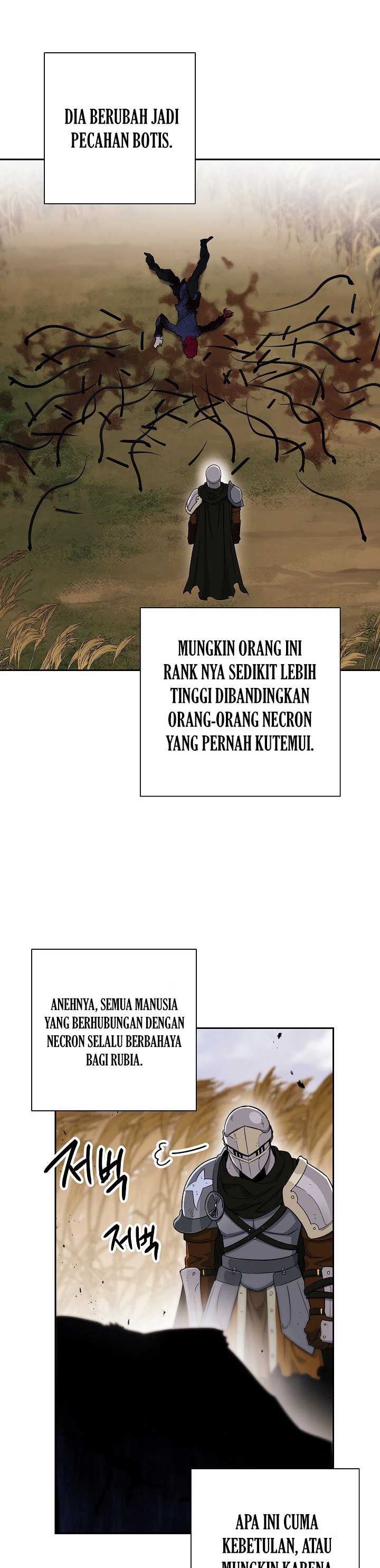 Skeleton Soldier Couldn’t Protect the Dungeon Chapter 135 Gambar 26