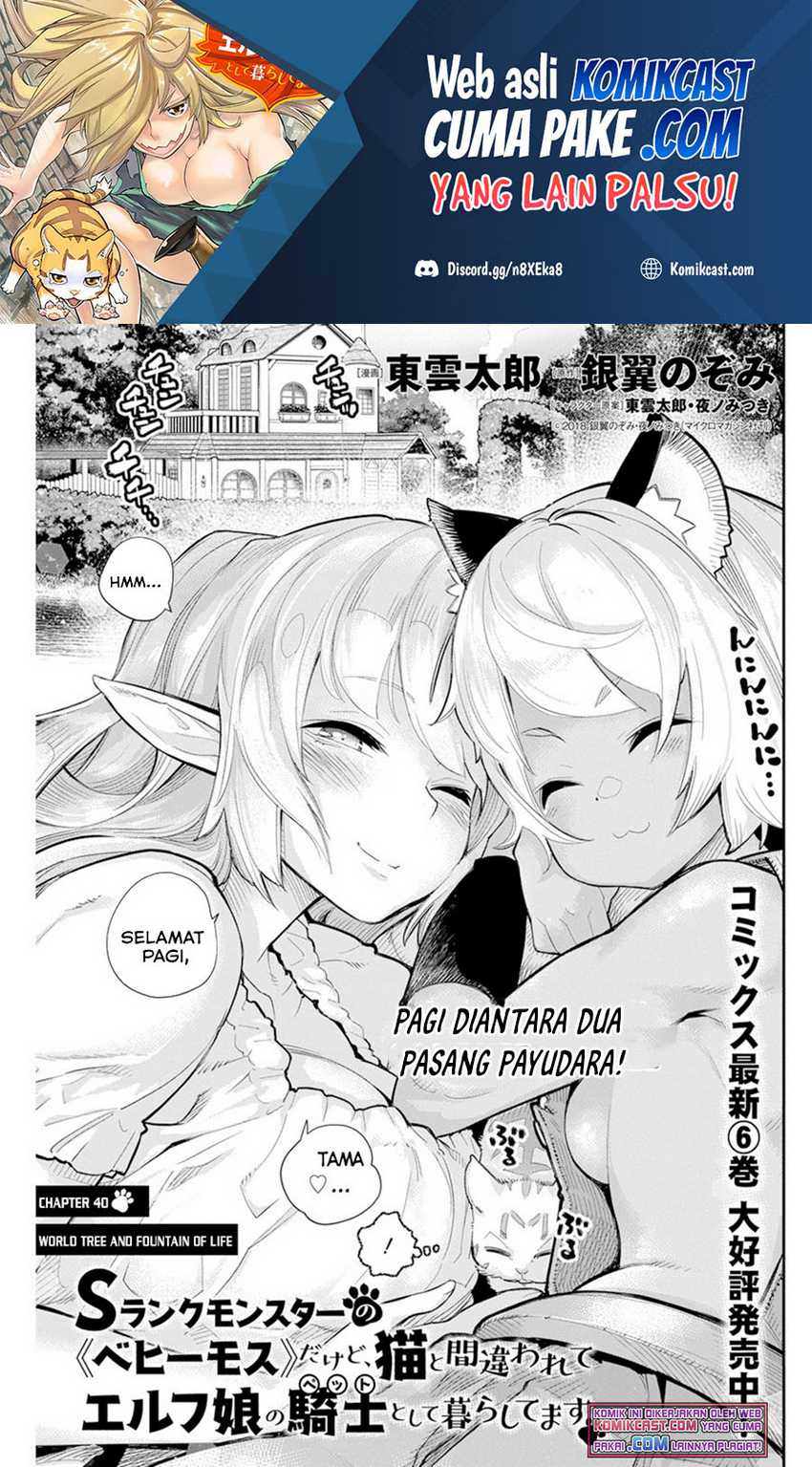 Baca Manga S-Rank Monster no Behemoth Dakedo, Neko to Machigawarete Erufu Musume no Kishi (Pet) Toshite Kurashitemasu Chapter 40 Gambar 2