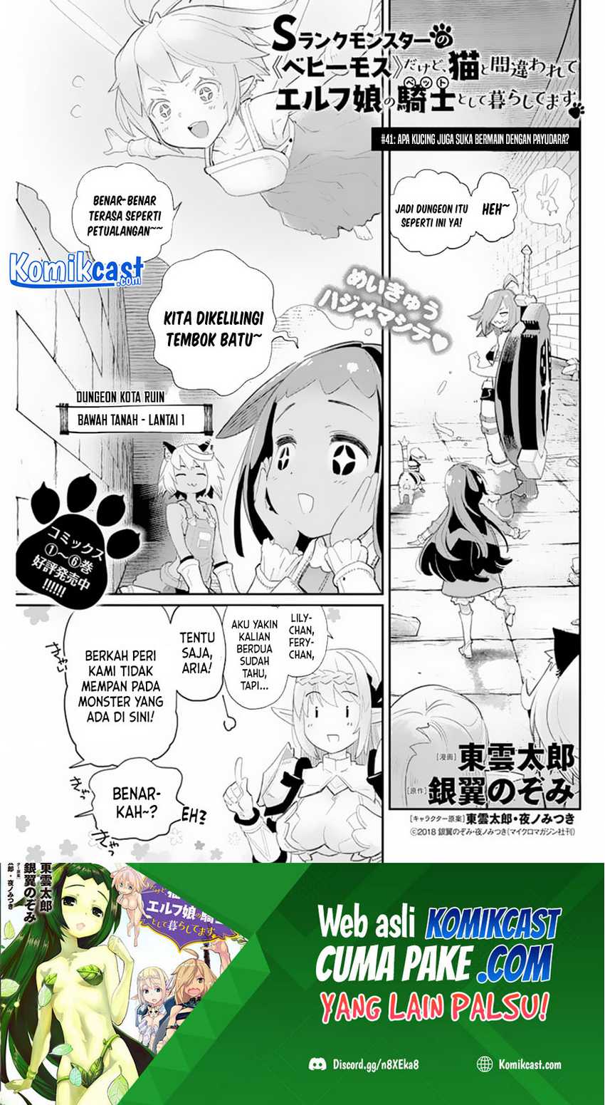 Baca Manga S-Rank Monster no Behemoth Dakedo, Neko to Machigawarete Erufu Musume no Kishi (Pet) Toshite Kurashitemasu Chapter 41 Gambar 2
