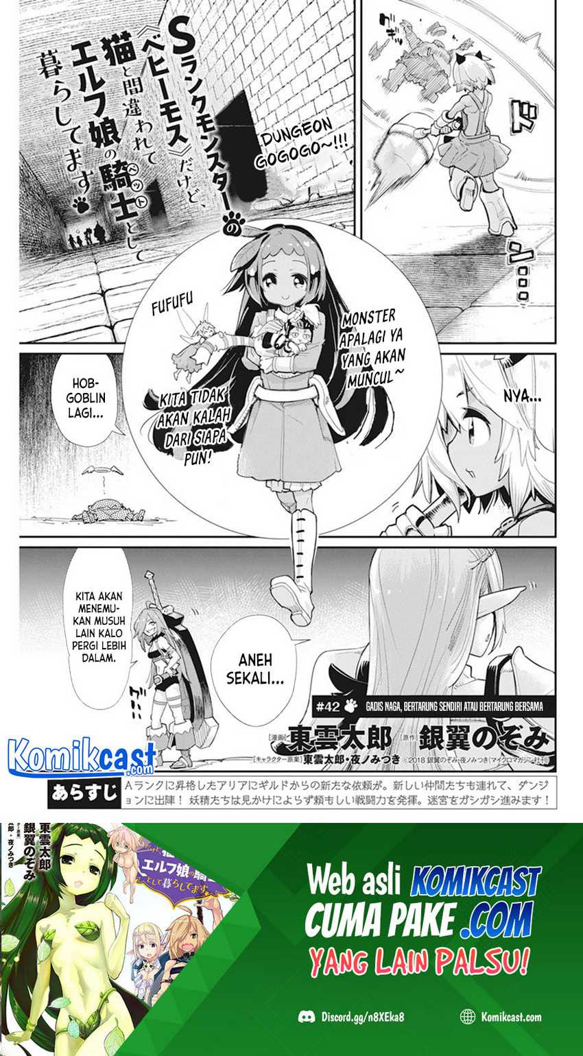 Baca Manga S-Rank Monster no Behemoth Dakedo, Neko to Machigawarete Erufu Musume no Kishi (Pet) Toshite Kurashitemasu Chapter 42 Gambar 2