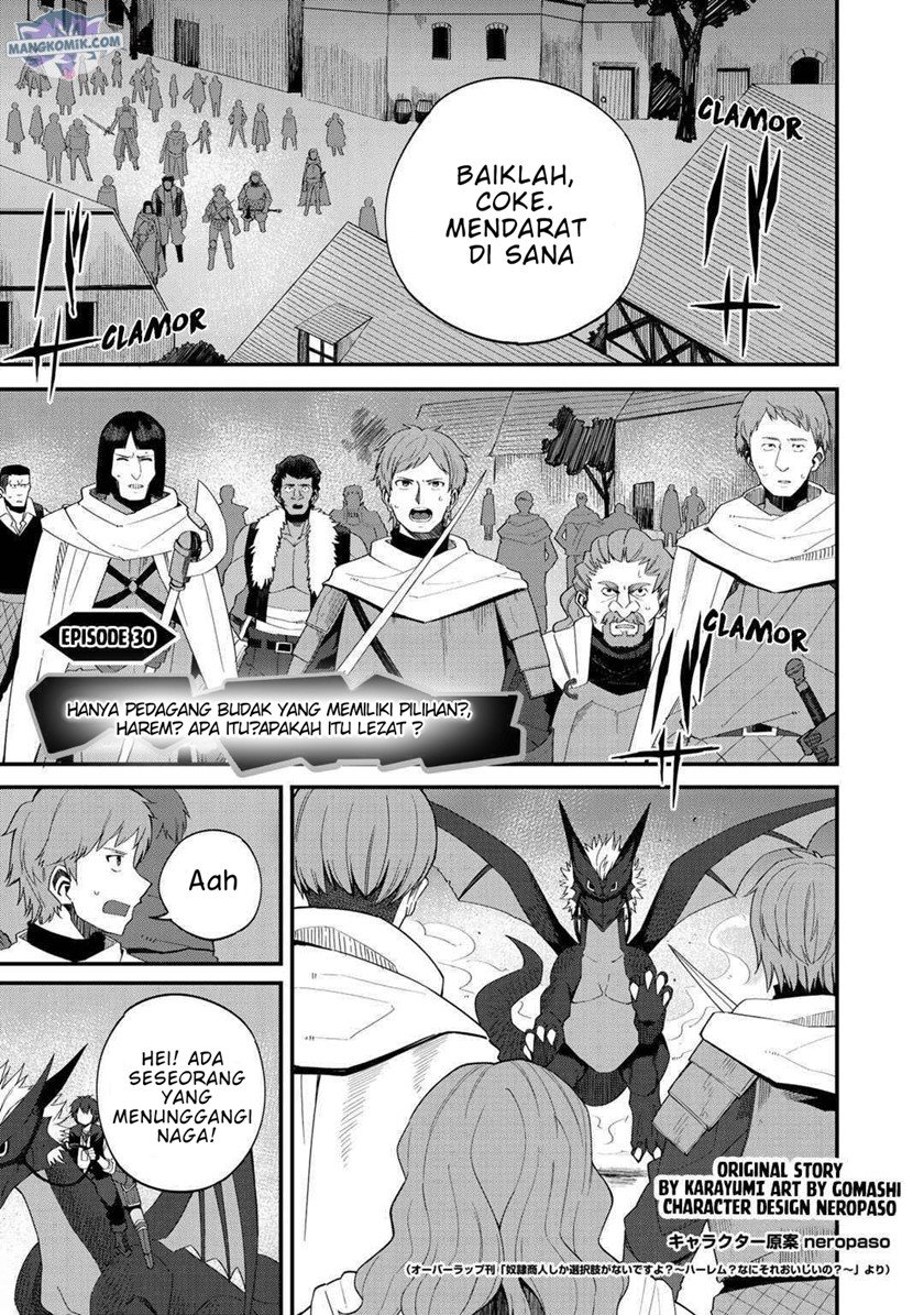 Baca Manga Dorei Shounin shika Sentakushi ga nai desu yo? ~Harem? Nani sore oishii no?~ Chapter 30 Gambar 2