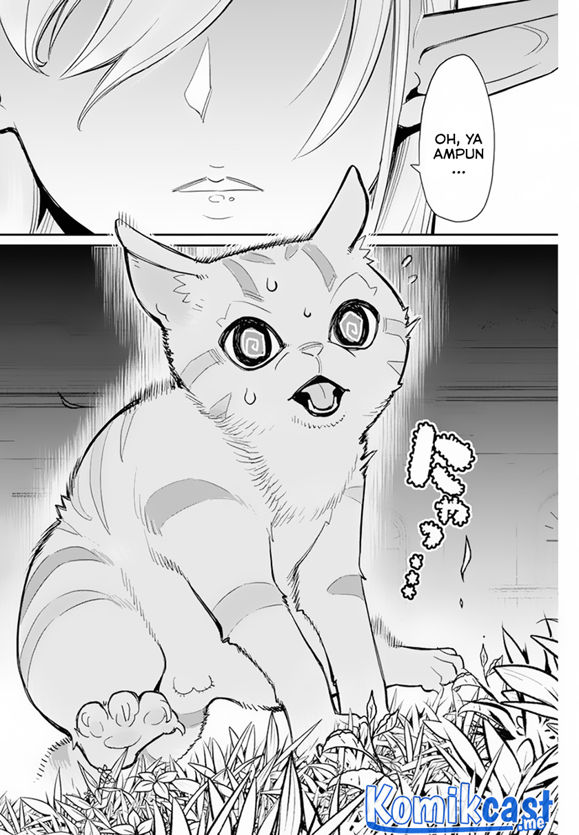 S-Rank Monster no Behemoth Dakedo, Neko to Machigawarete Erufu Musume no Kishi (Pet) Toshite Kurashitemasu Chapter 47 Gambar 16