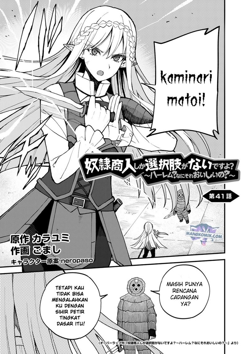 Baca Manga Dorei Shounin shika Sentakushi ga nai desu yo? ~Harem? Nani sore oishii no?~ Chapter 41 Gambar 2