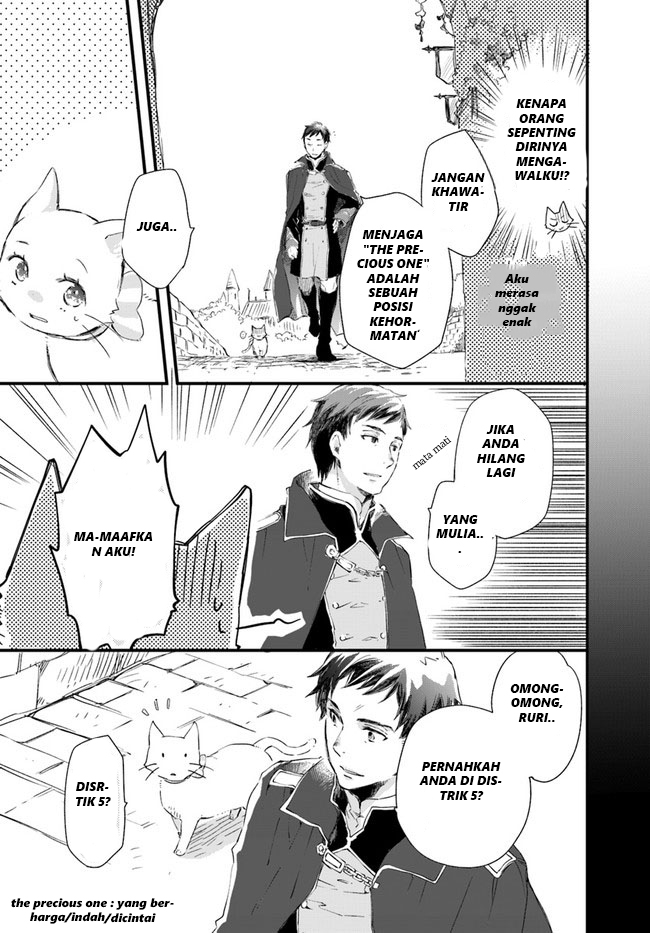 A Vengeful White Cat Lounges Around on the Dragon King’s Lap Chapter 14 Gambar 22