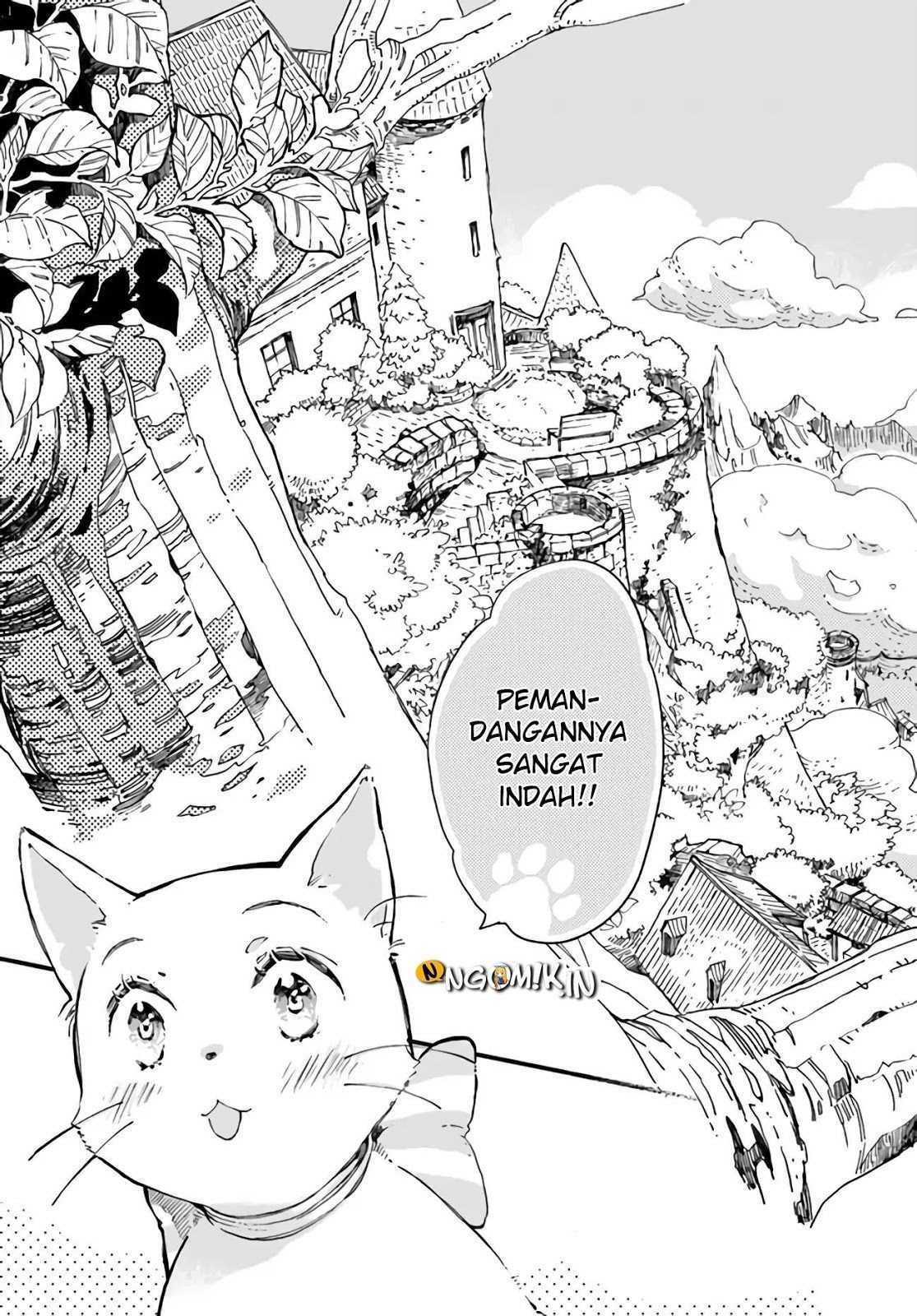 A Vengeful White Cat Lounges Around on the Dragon King’s Lap Chapter 9 Gambar 25