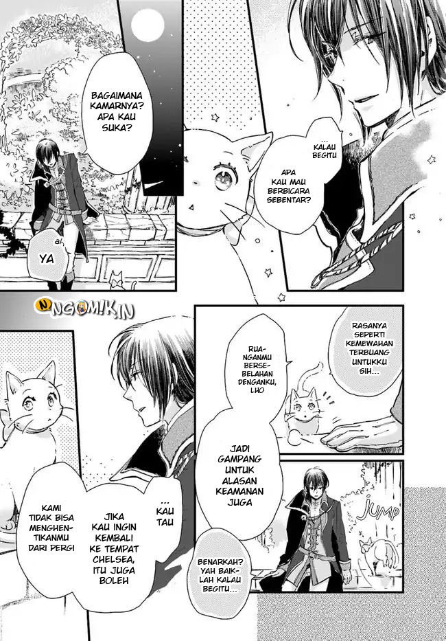 A Vengeful White Cat Lounges Around on the Dragon King’s Lap Chapter 8 Gambar 19