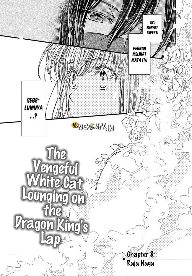 A Vengeful White Cat Lounges Around on the Dragon King’s Lap Chapter 8 Gambar 5