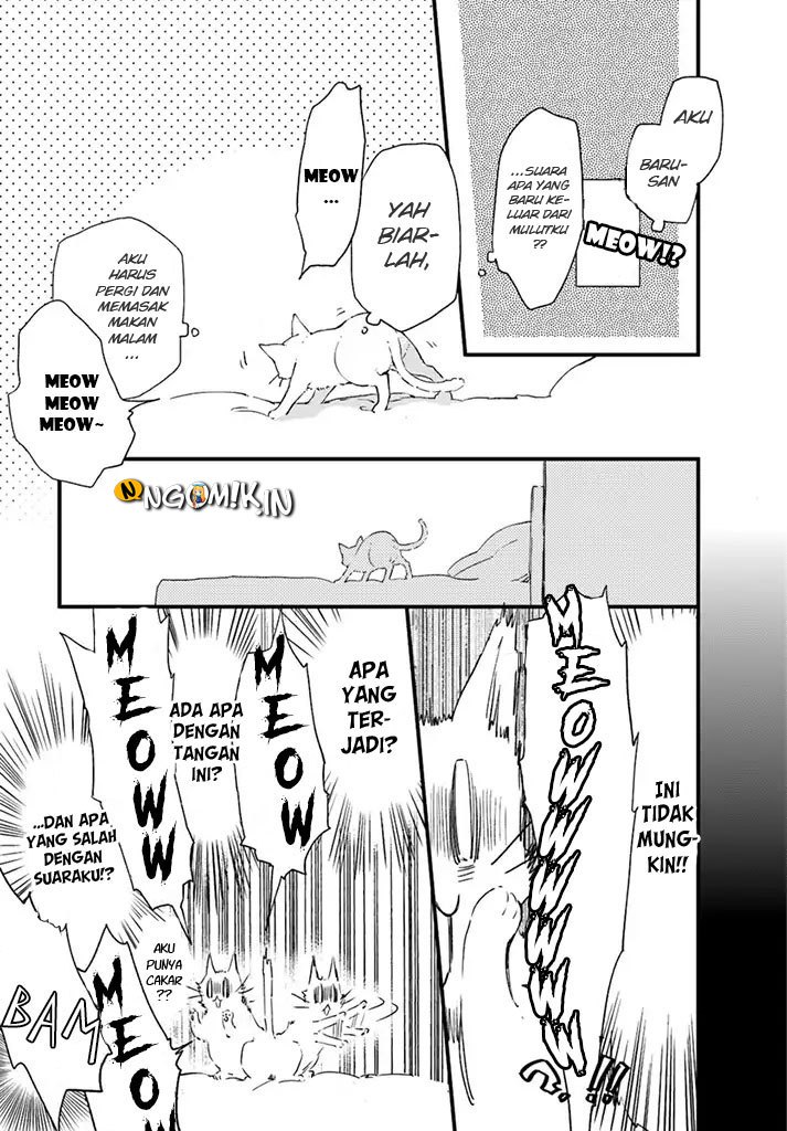 A Vengeful White Cat Lounges Around on the Dragon King’s Lap Chapter 5 Gambar 19