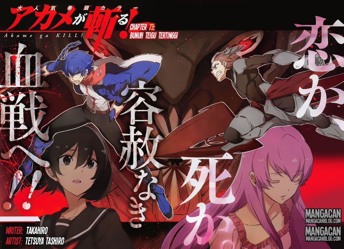 Akame ga Kill! Chapter 73 Gambar 3