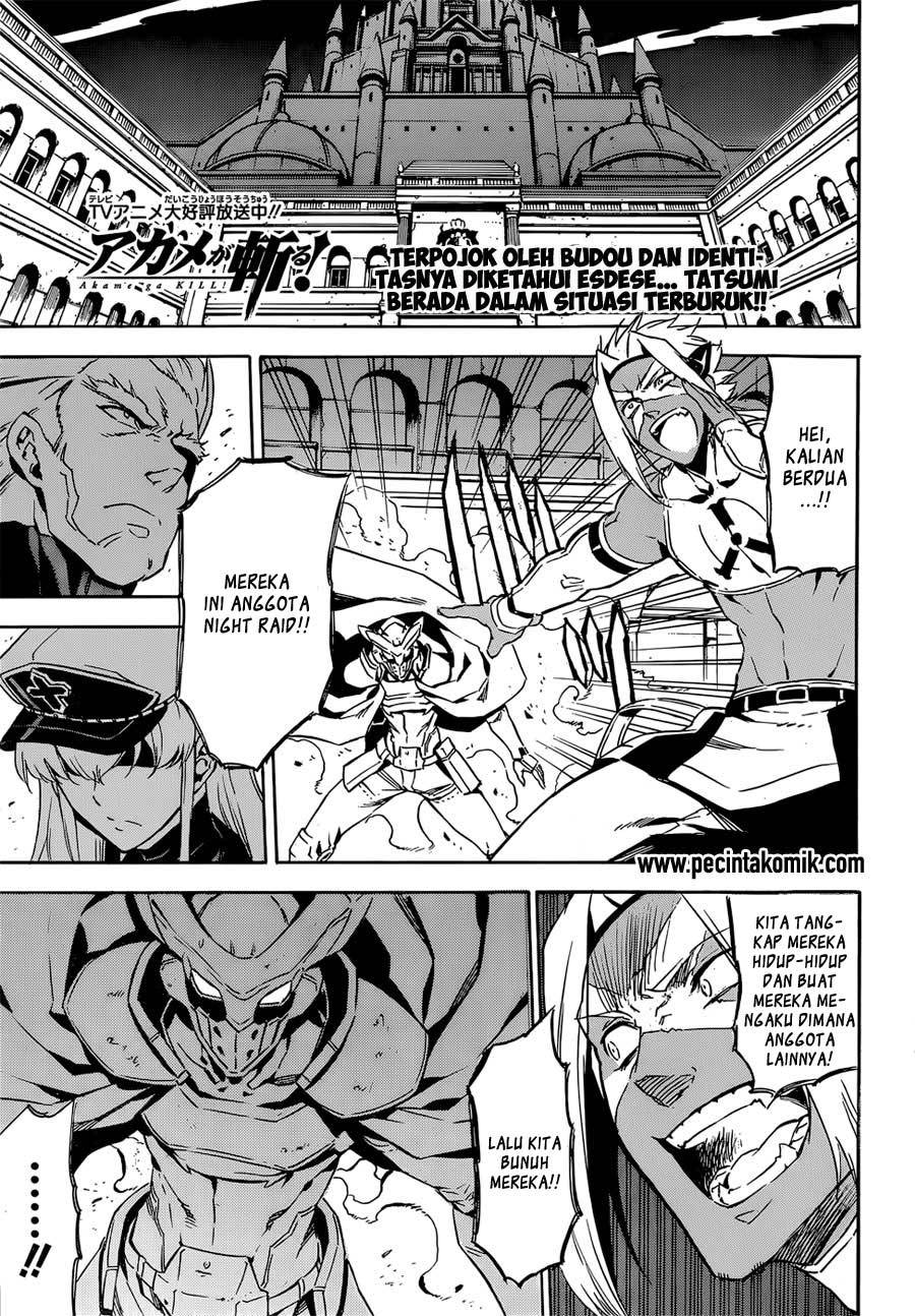 Akame ga Kill! Chapter 52.1 Gambar 4