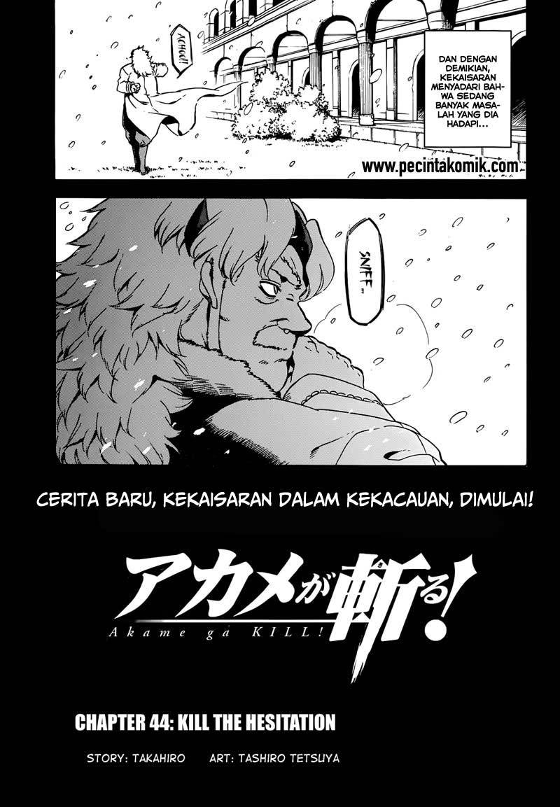 Akame ga Kill! Chapter 45 Gambar 6