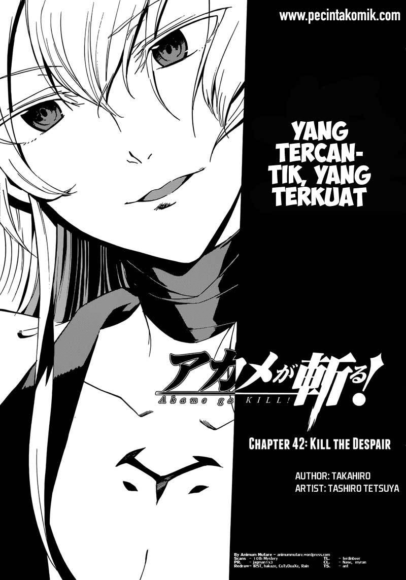 Akame ga Kill! Chapter 43 Gambar 4