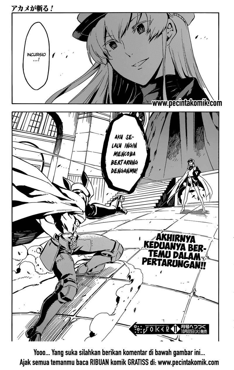 Akame ga Kill! Chapter 42 Gambar 45