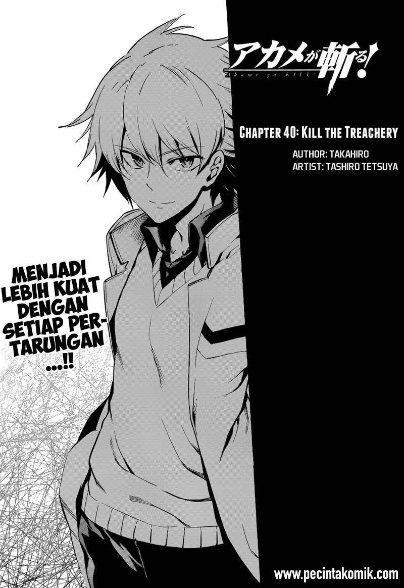 Akame ga Kill! Chapter 41 Gambar 4