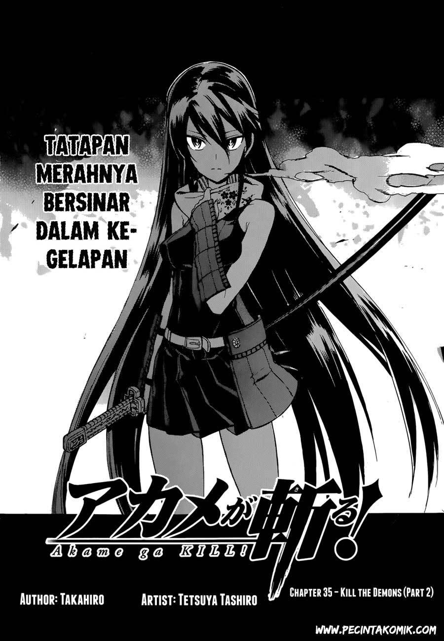 Akame ga Kill! Chapter 36 Gambar 5