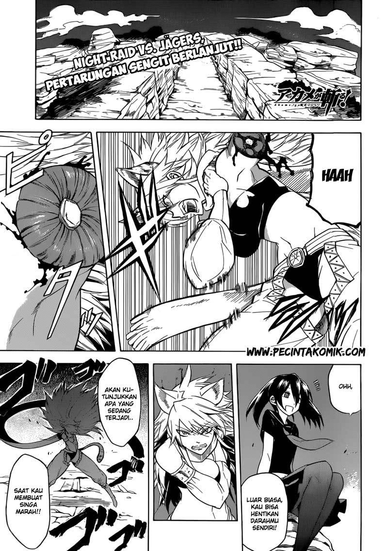Baca Manga Akame ga Kill! Chapter 31 Gambar 2