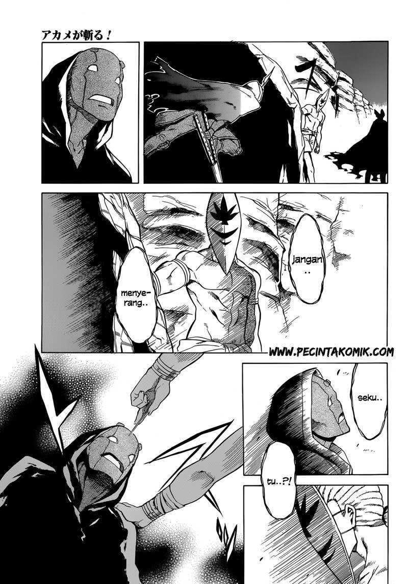 Akame ga Kill! Chapter 31 Gambar 26