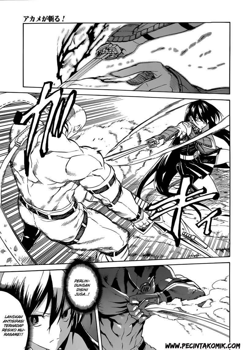 Akame ga Kill! Chapter 31 Gambar 8