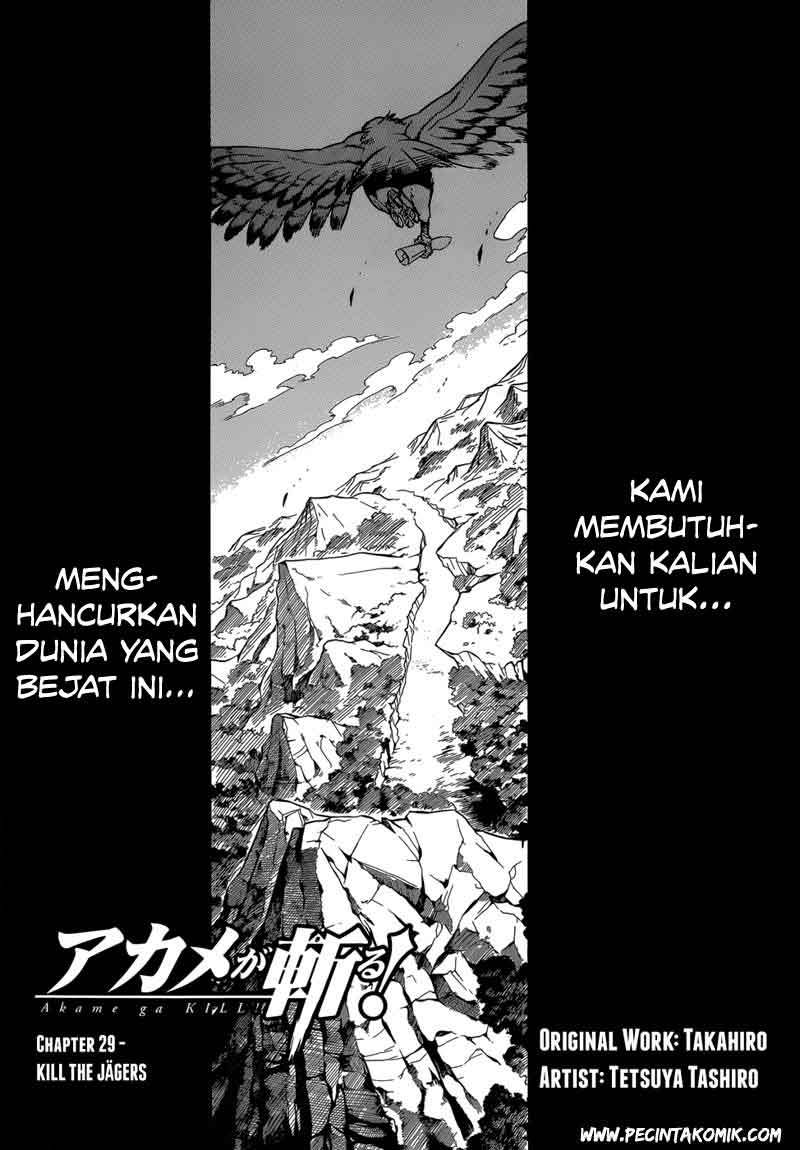 Akame ga Kill! Chapter 29 Gambar 4