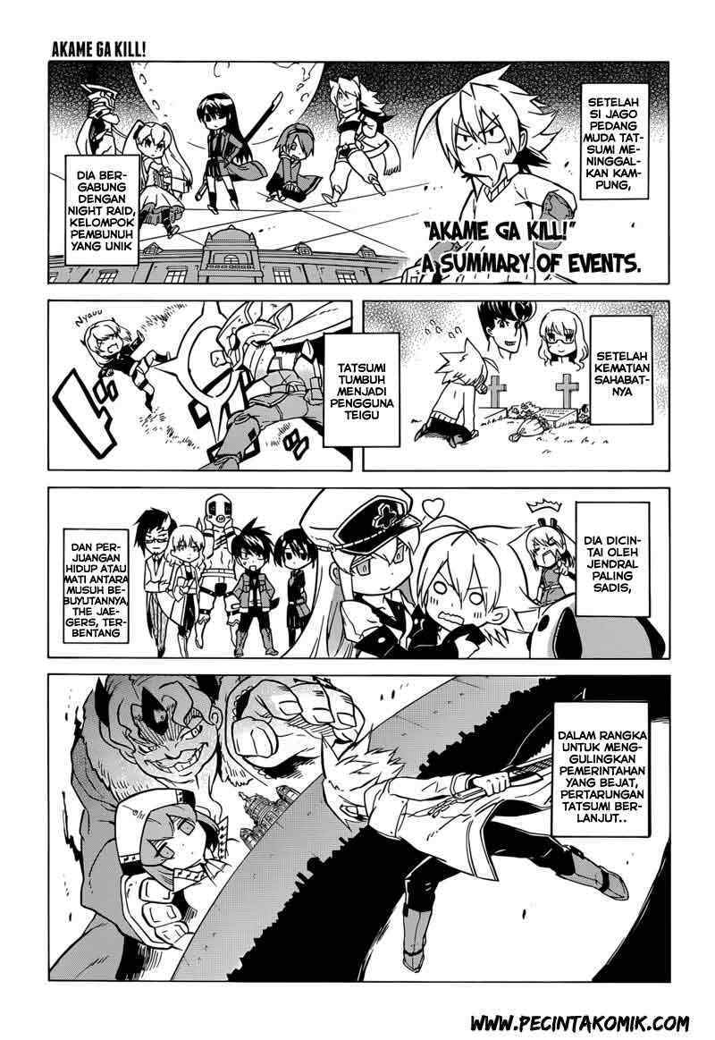Akame ga Kill! Chapter 28 Gambar 3