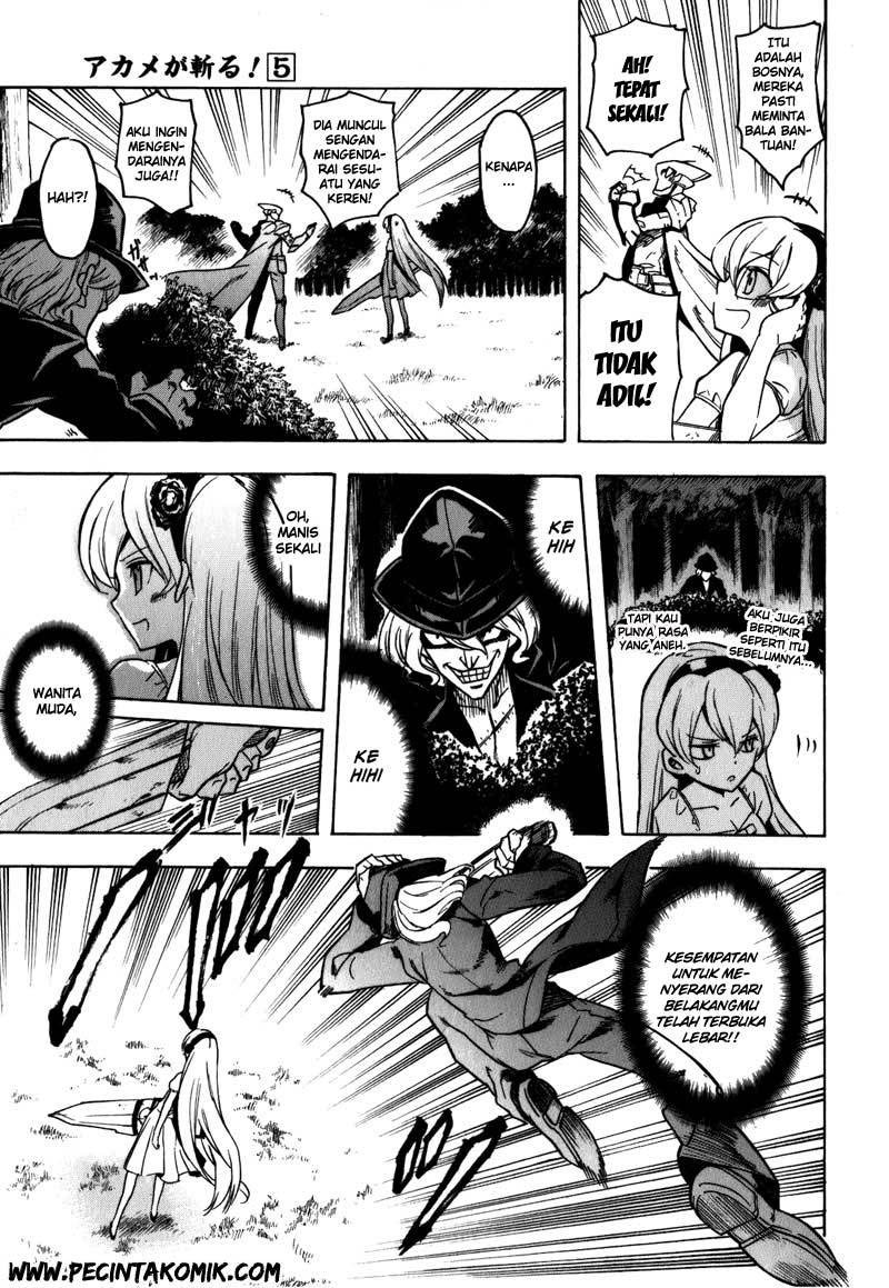 Akame ga Kill! Chapter 21 Gambar 11