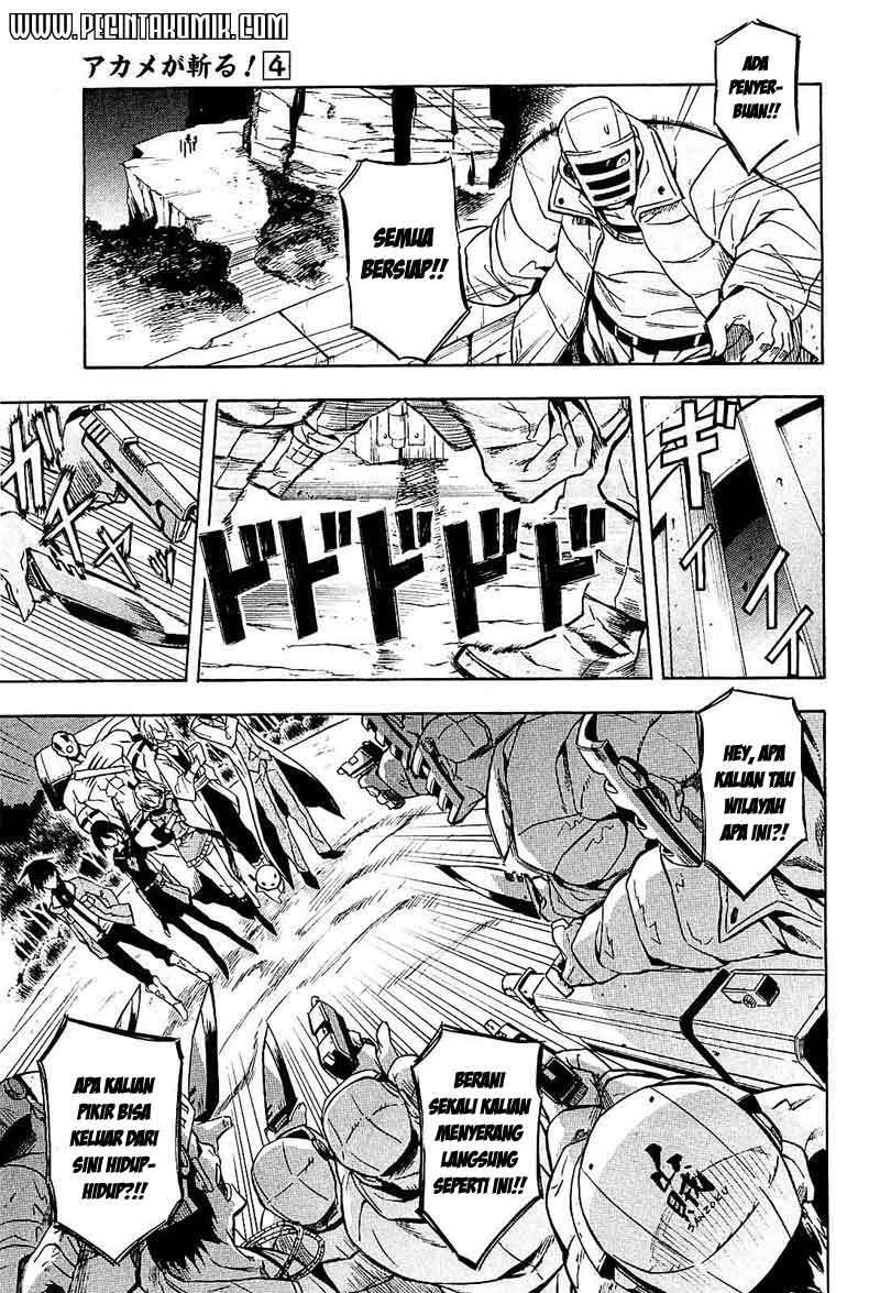 Akame ga Kill! Chapter 17 Gambar 20