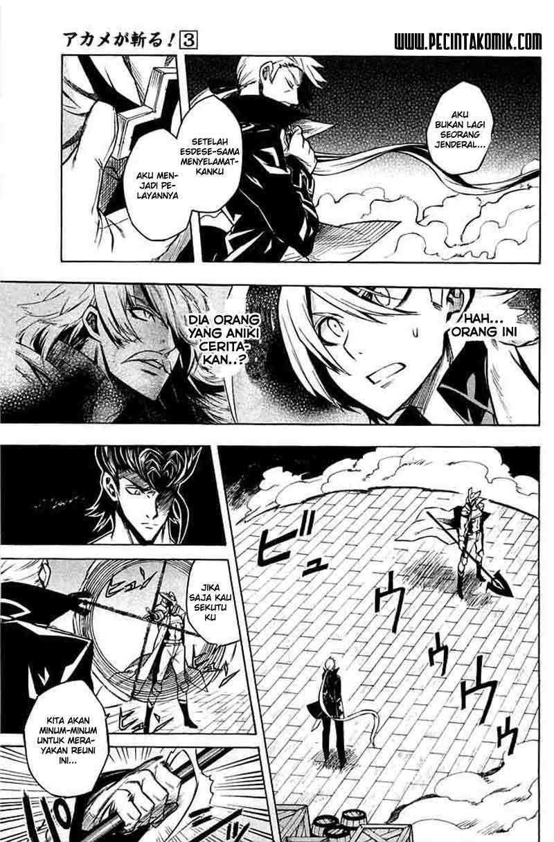 Akame ga Kill! Chapter 13 Gambar 6