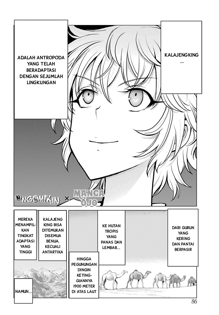 Blattodea Chapter 3 Gambar 22