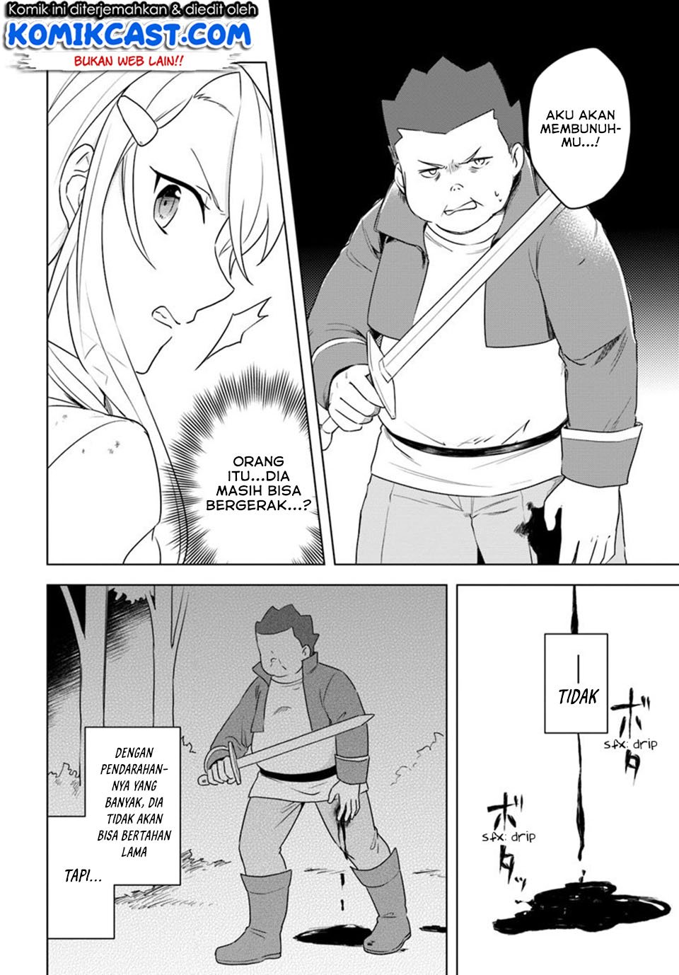 Eiyuu no Musume to Shite Umarekawatta Eiyuu wa Futatabi Eiyuu o Mezasu Chapter 11.1 Gambar 11