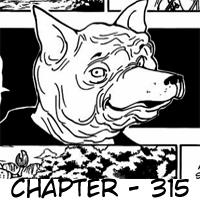 Hunter x Hunter Chapter 315 Gambar 20