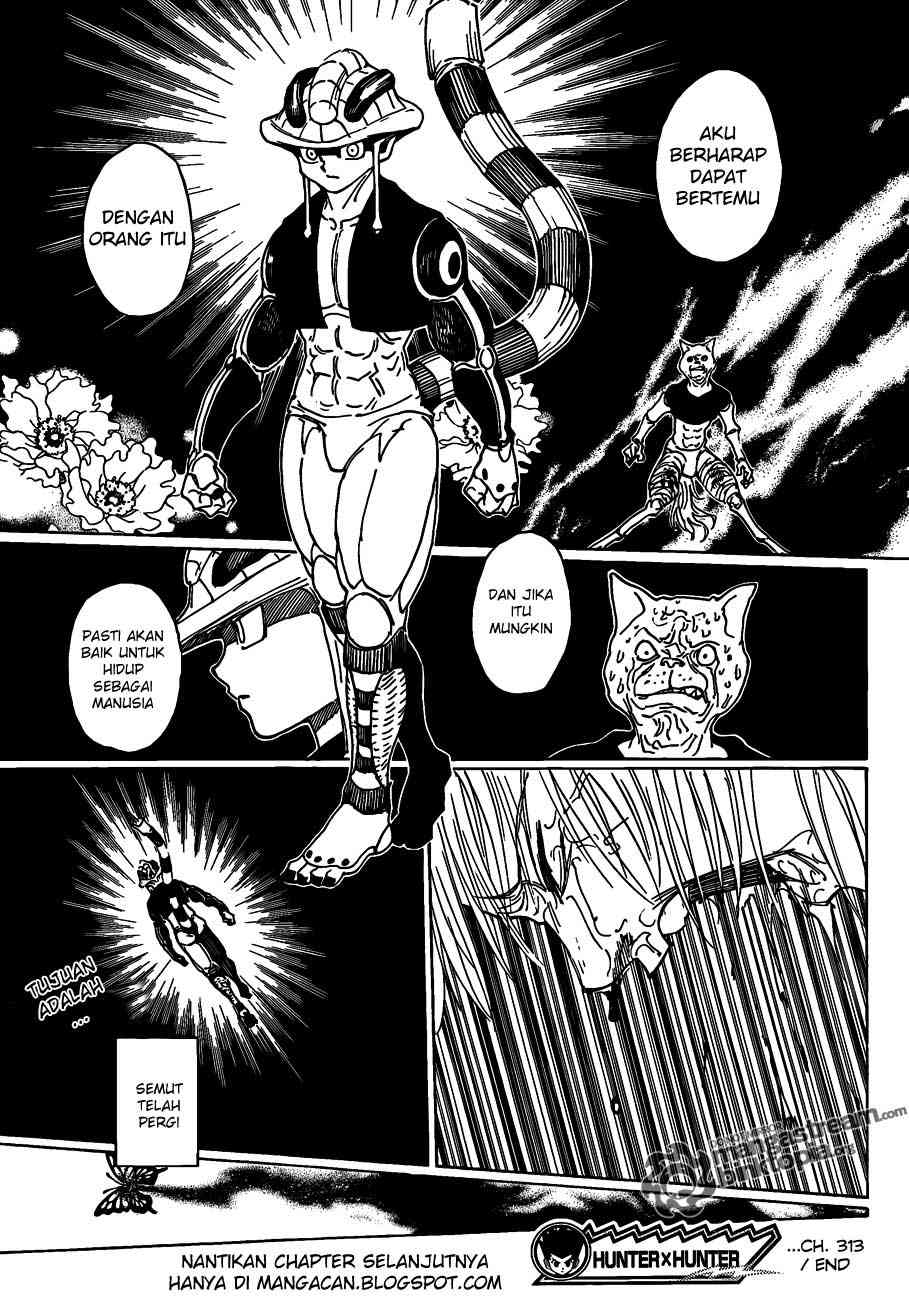 Hunter x Hunter Chapter 313 Gambar 15