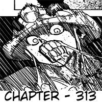 Hunter x Hunter Chapter 313 Gambar 16