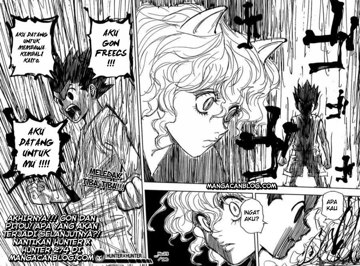 Hunter x Hunter Chapter 273 Gambar 19