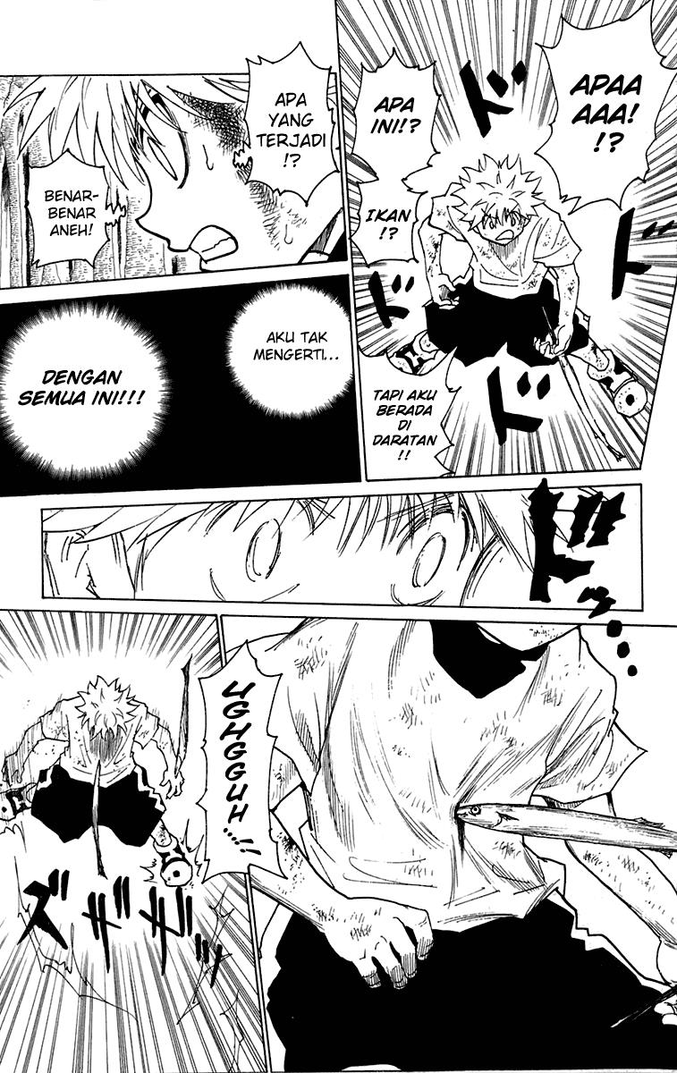 Baca Manga Hunter x Hunter Chapter 239 Gambar 2