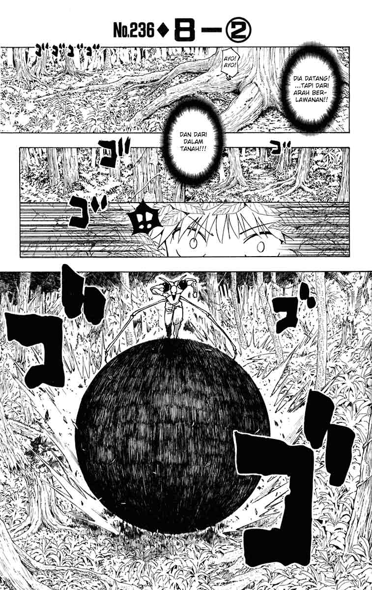 Baca Komik Hunter x Hunter Chapter 236 Gambar 1