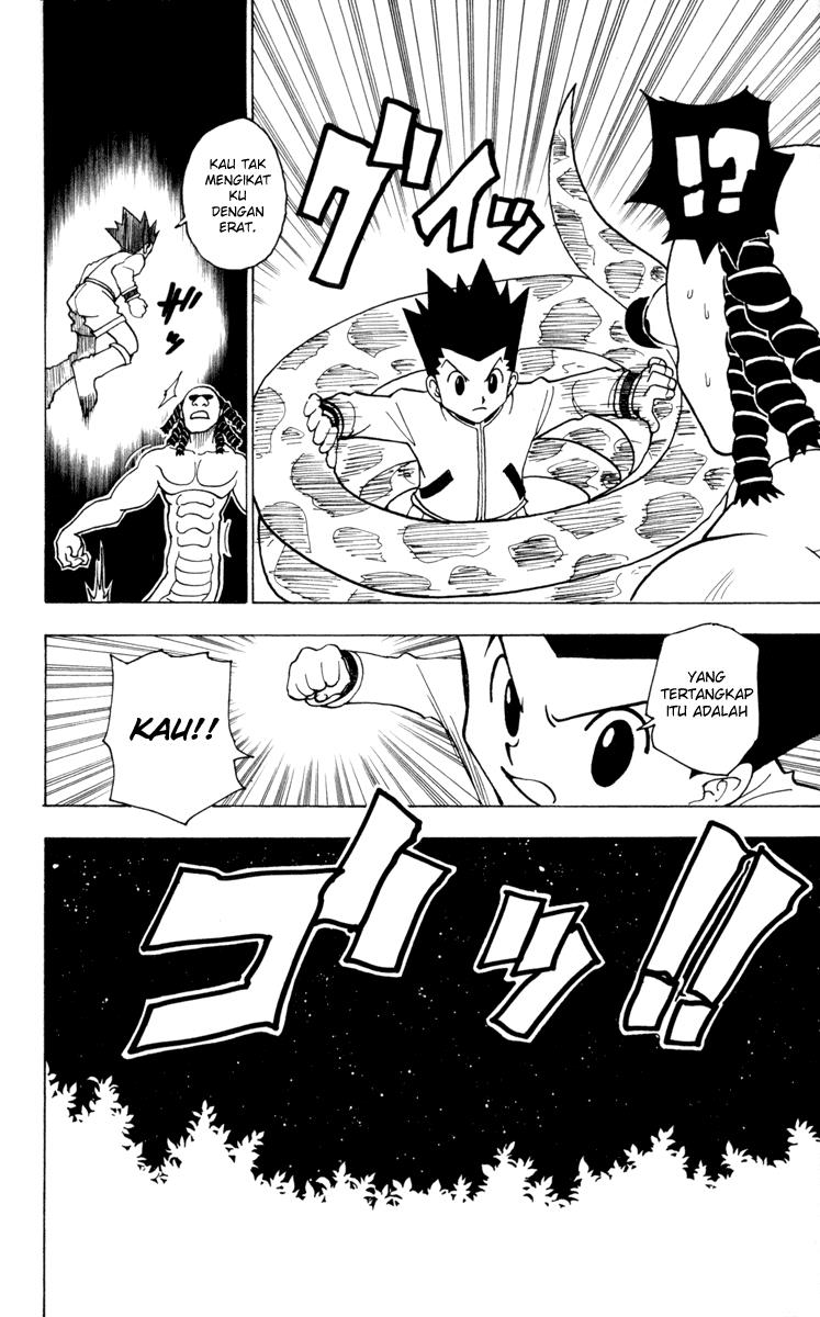 Hunter x Hunter Chapter 231 Gambar 12