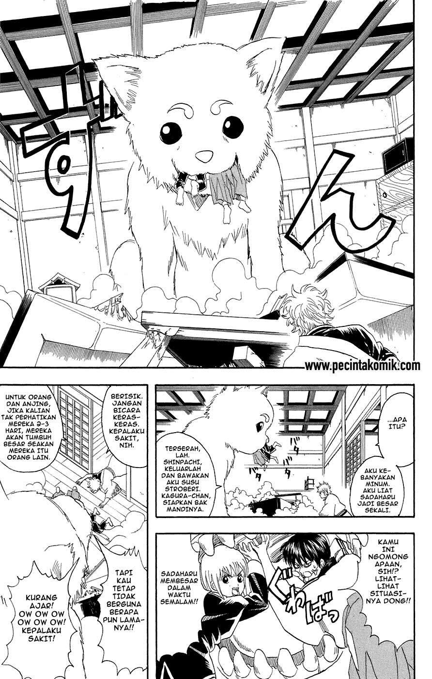 Gintama Chapter 71 Gambar 6