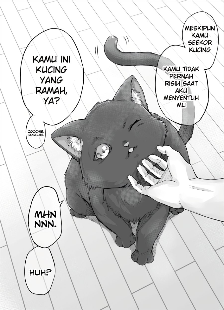 Baca Manga The Yandere Pet Cat is Overly Domineering Chapter 2 Gambar 2
