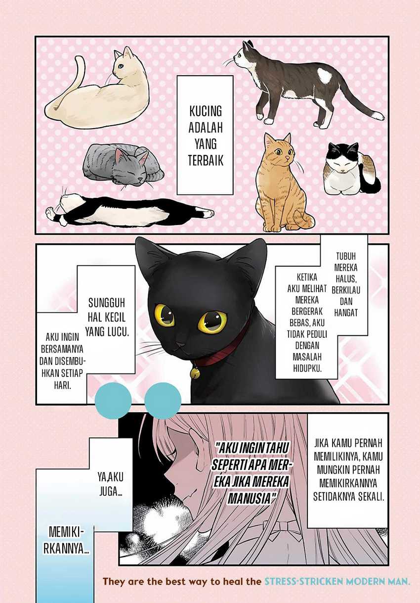 Baca Manga Mi-chan wa Kawaretai Chapter 1 Gambar 2