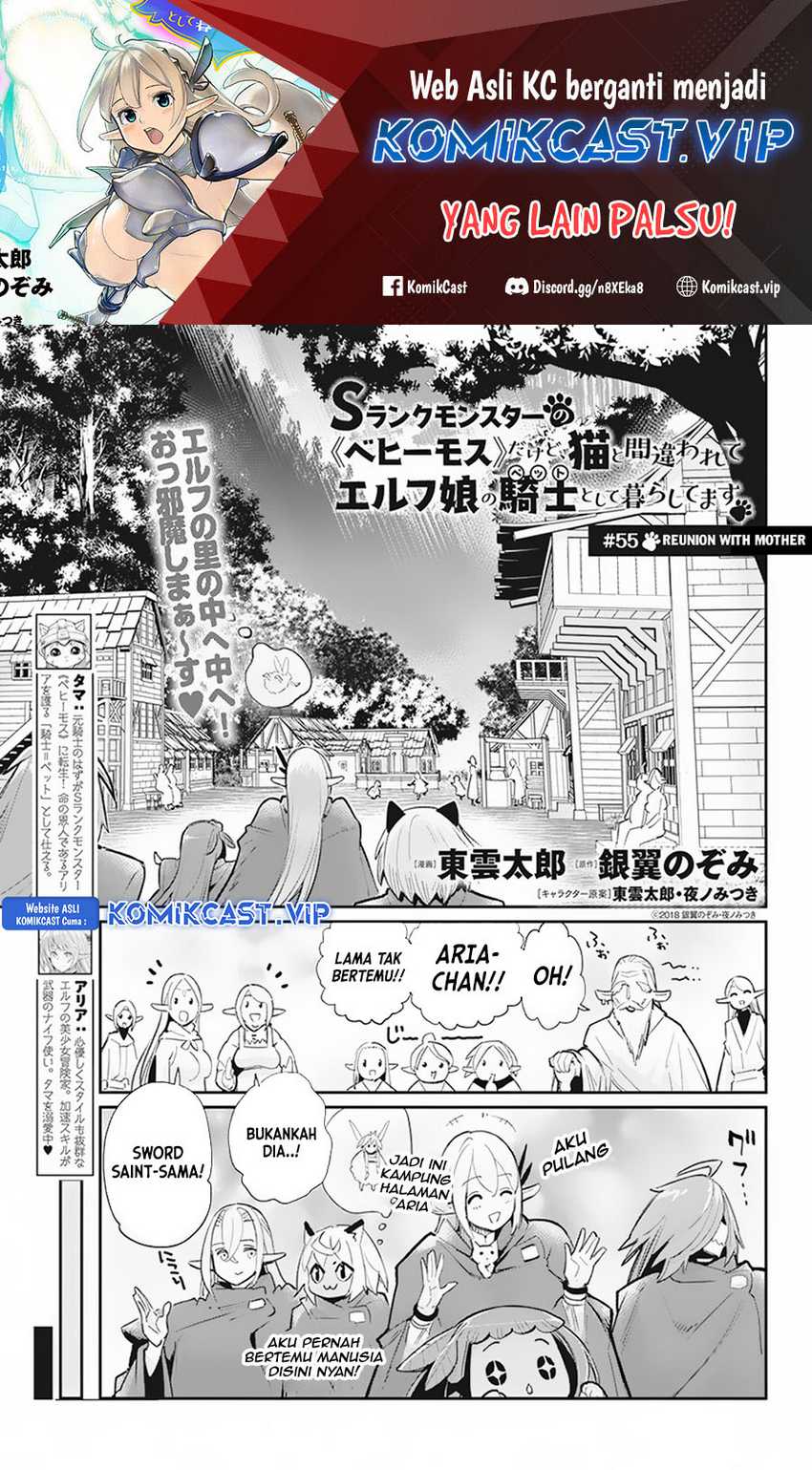 Baca Manga S-Rank Monster no Behemoth Dakedo, Neko to Machigawarete Erufu Musume no Kishi (Pet) Toshite Kurashitemasu Chapter 55 Gambar 2