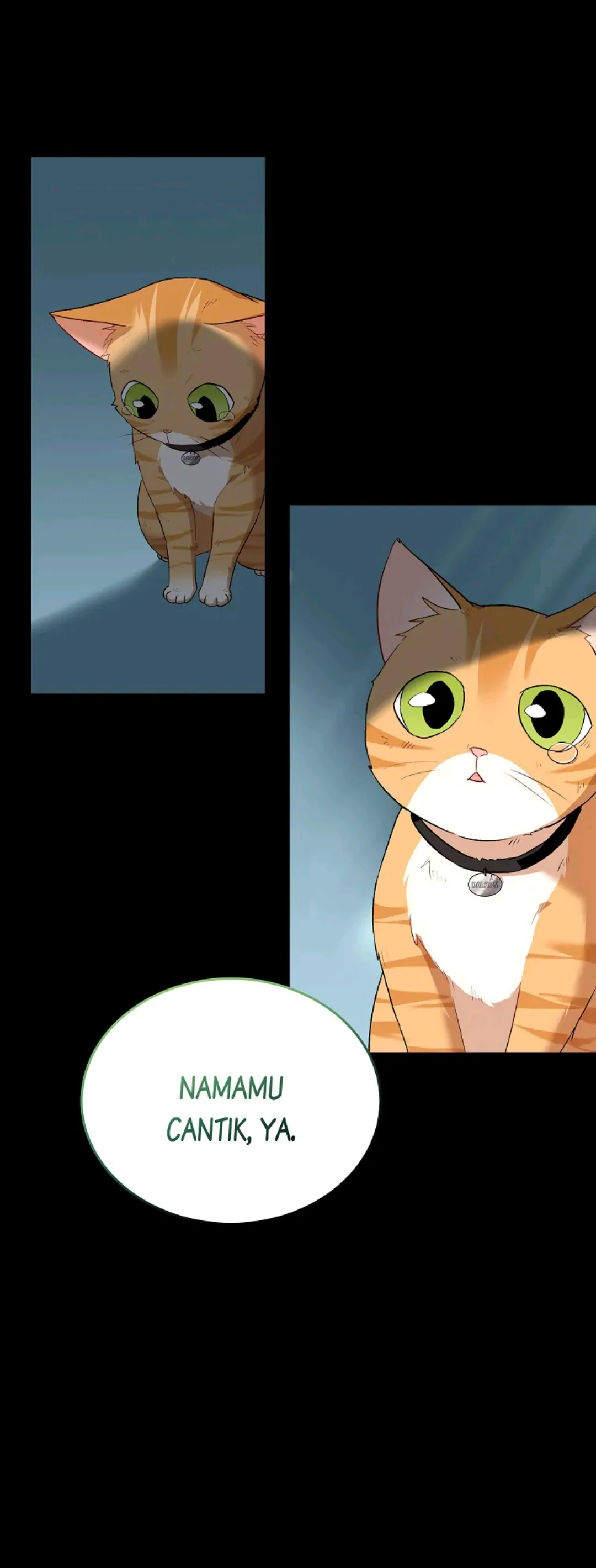 Hello? Veterinarian! Chapter 7 bahasa Indonesia Gambar 22