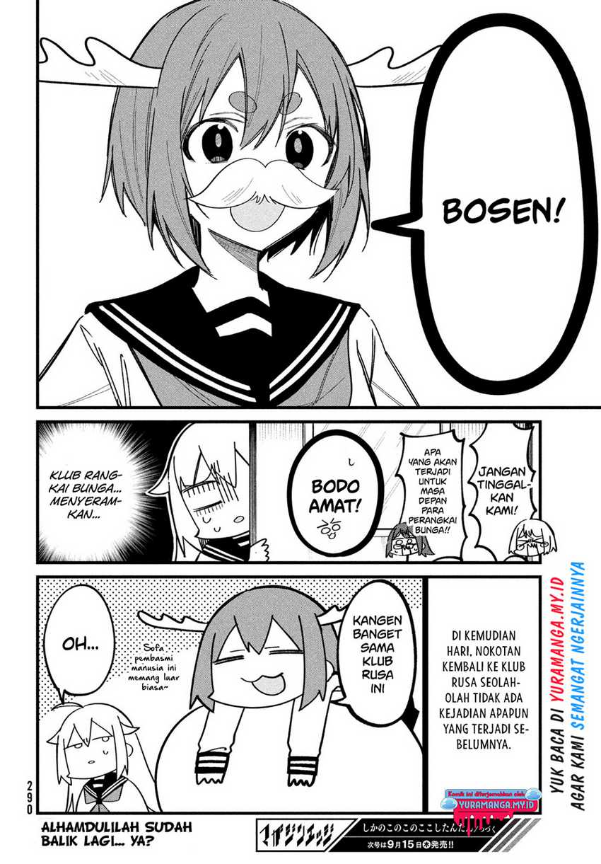 Shikanoko Nokonoko Koshitantan Chapter 27 Gambar 21