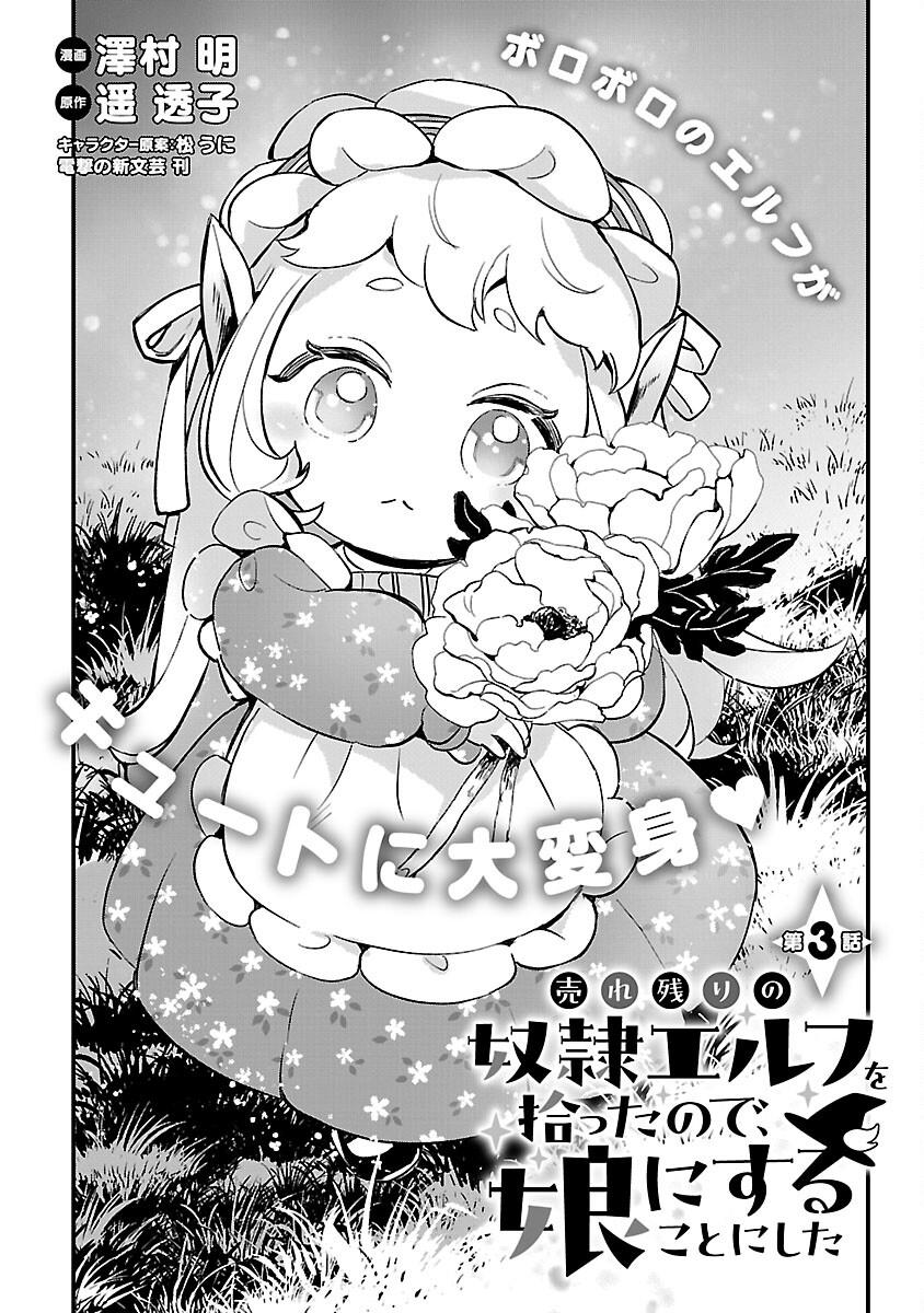 Baca Manga Urenokori no Dorei Elf wo Hirotta no de, Musume ni suru Koto ni shita Chapter 3 Gambar 2